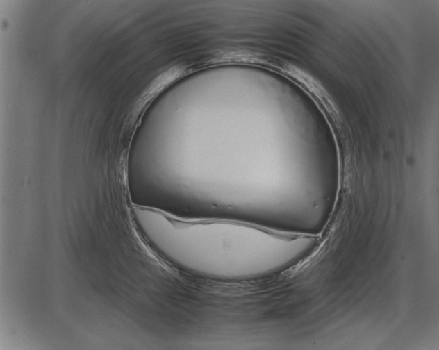 X0000086081241200704091253