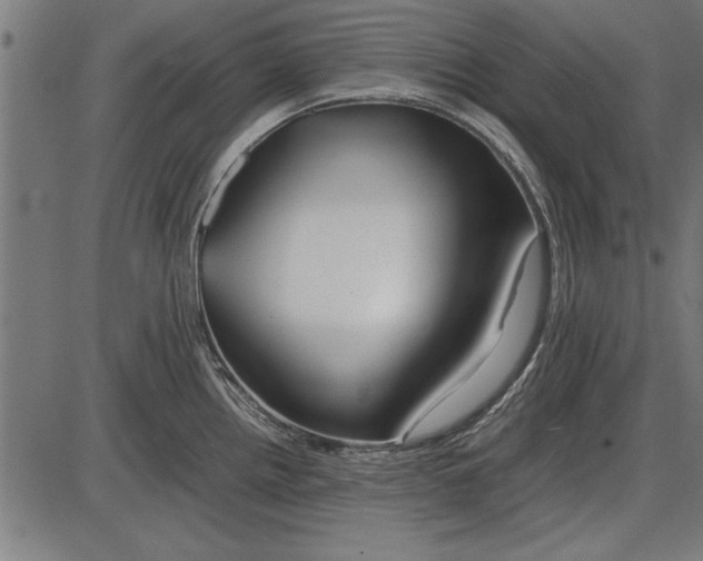 X0000086081242200704091253