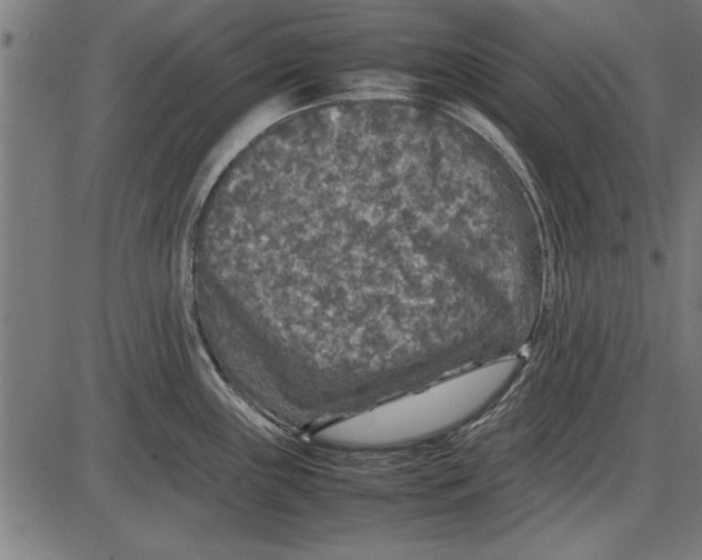 X0000086081243200704091253