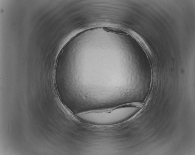 X0000086081244200704091253