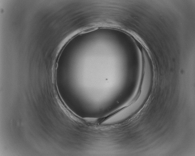 X0000086081246200704091253