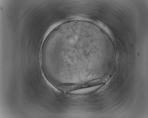 X0000086081247200704091253