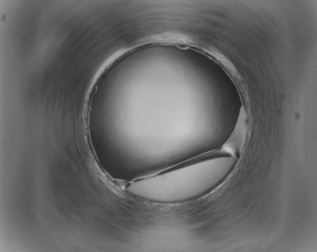 X0000086081248200704091253