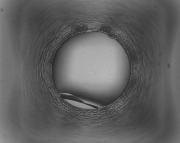 X0000086081249200704091252