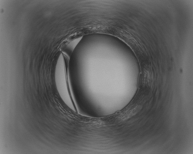 X0000086081250200704091252