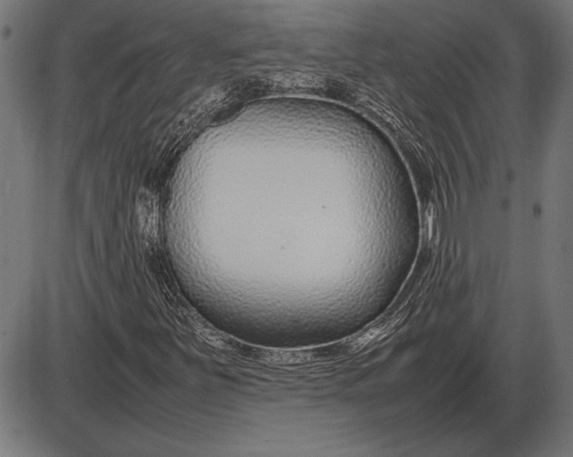 X0000086081251200704091252