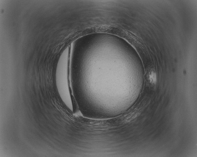 X0000086081252200704091252