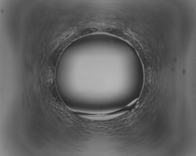 X0000086081253200704091252