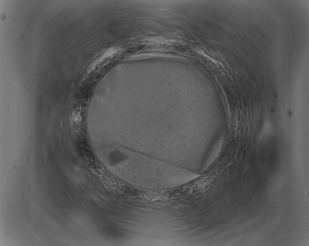 X0000086081254200704091252