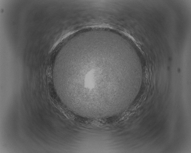 X0000086081255200704091252