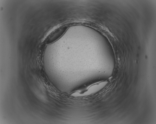 X0000086081256200704091252