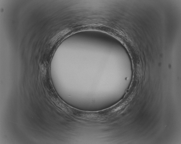 X0000086081257200704091252