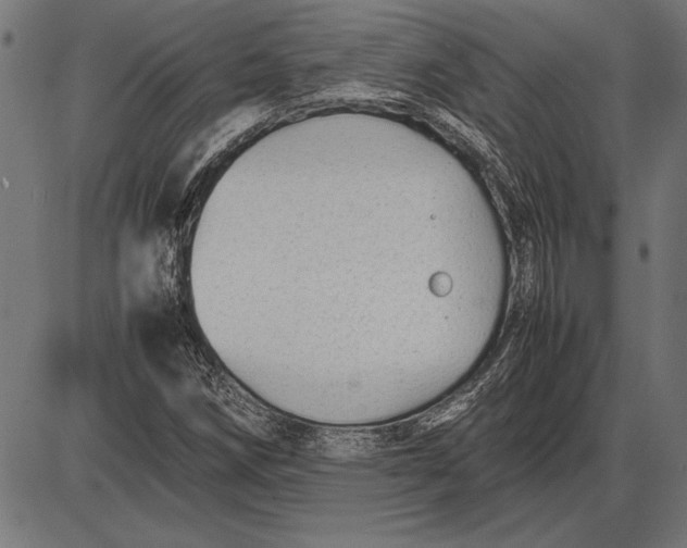 X0000086081258200704091252