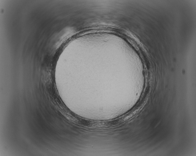 X0000086081259200704091252