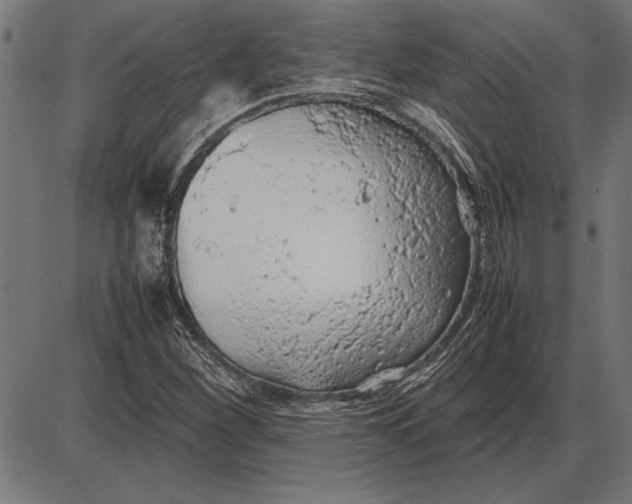 X0000086081260200704091252