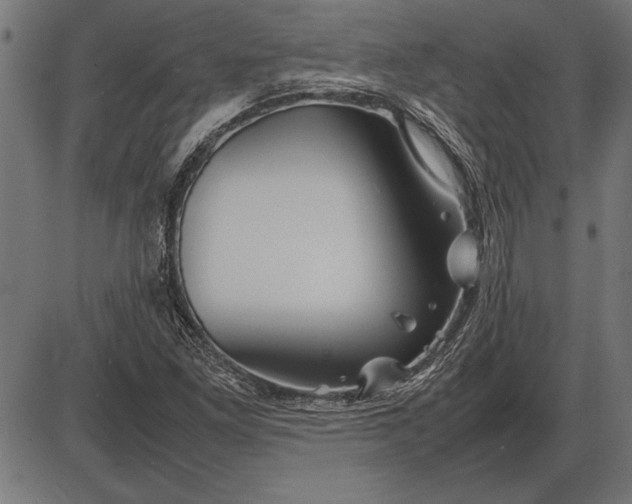 X0000086081261200704091252