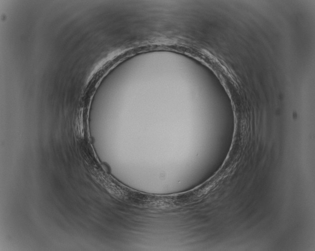 X0000086081262200704091252