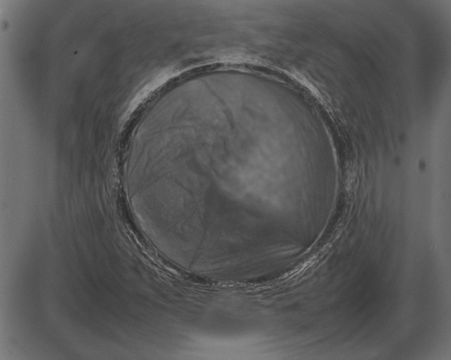 X0000086081263200704091252