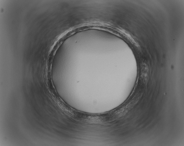 X0000086081264200704091252