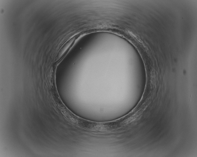 X0000086081265200704091252