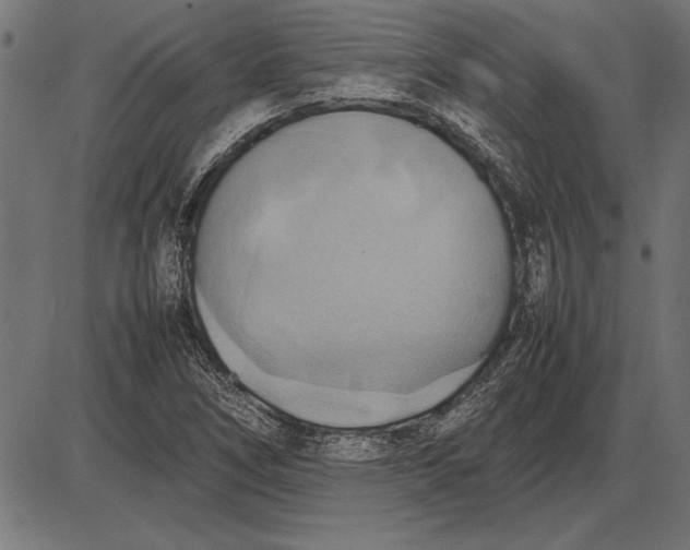 X0000086081266200704091252