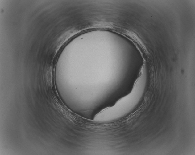 X0000086081268200704091252