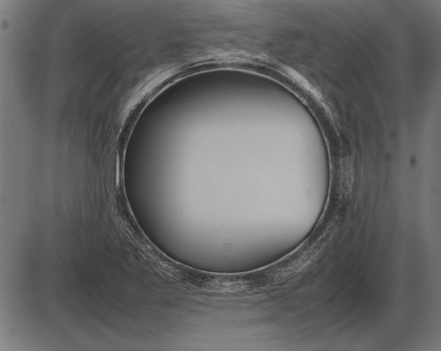 X0000086081269200704091252