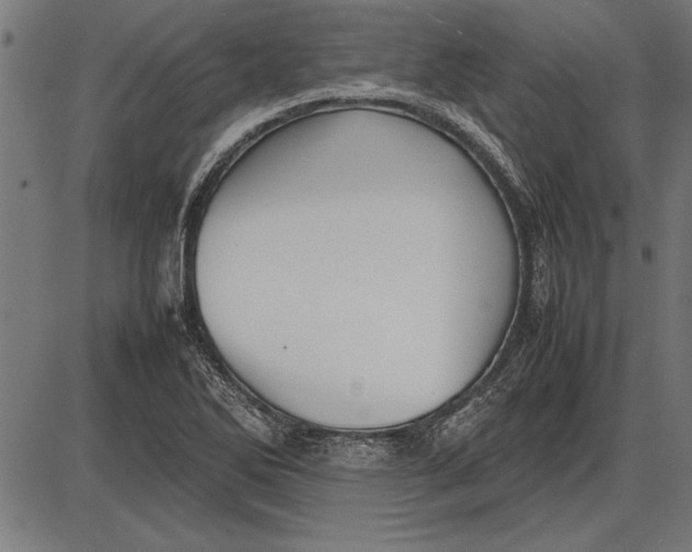 X0000086081270200704091252