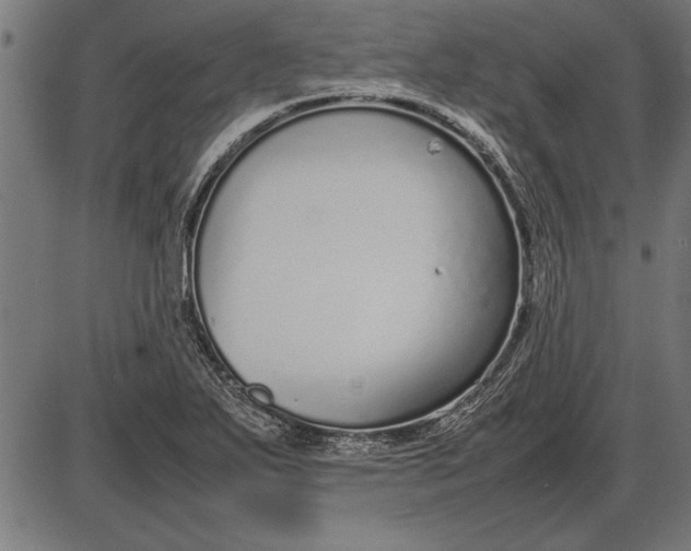 X0000086081271200704091252