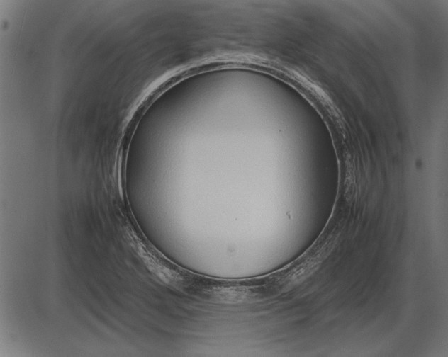 X0000086081272200704091252