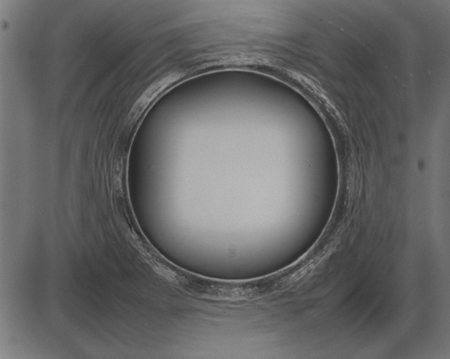 X0000086081273200704091252