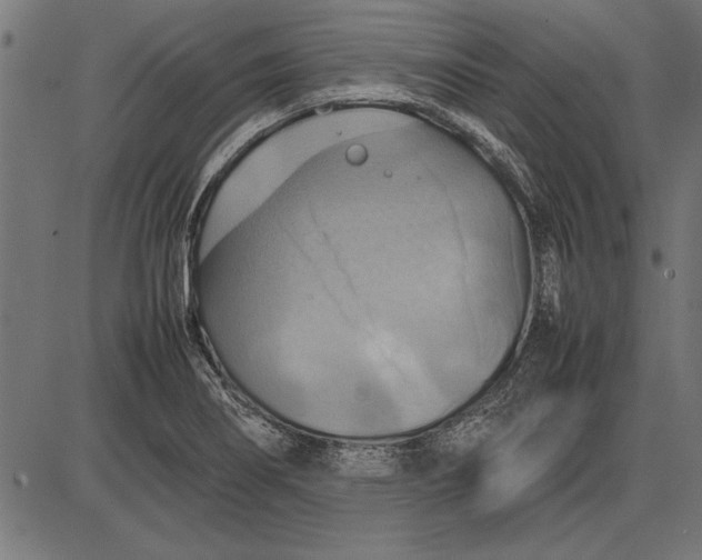 X0000086081274200704091252