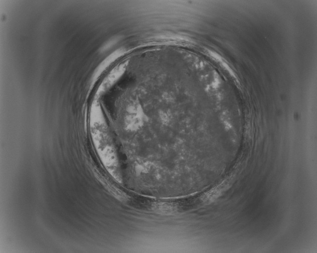 X0000086081275200704091252