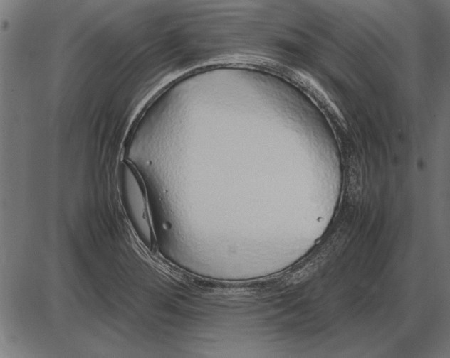 X0000086081276200704091252