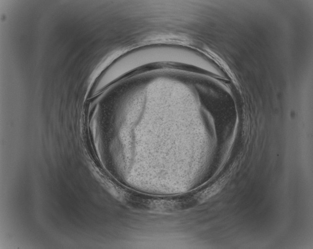 X0000086081277200704091252