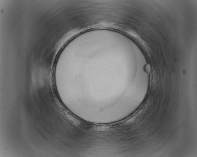 X0000086081278200704091252