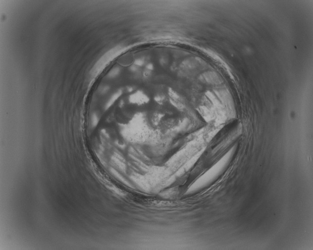 X0000086081279200704091251