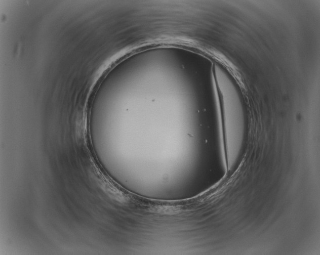 X0000086081280200704091251