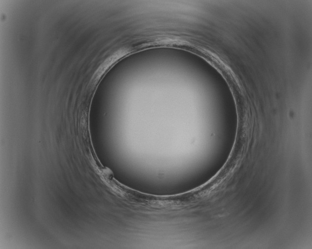 X0000086081281200704091251