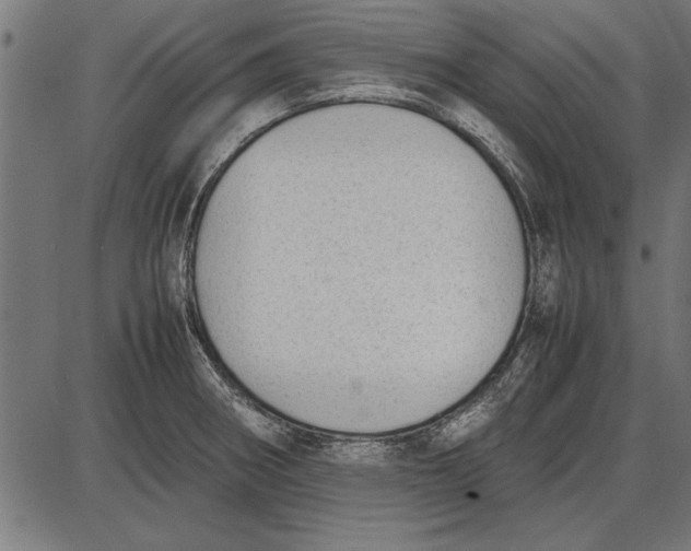 X0000086081282200704091251