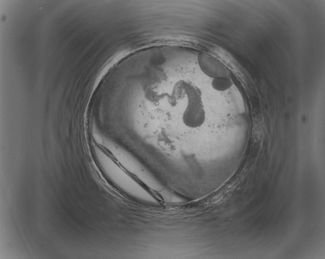 X0000086081283200704091251