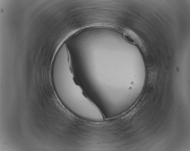 X0000086081284200704091251