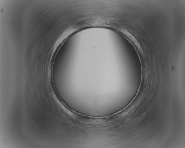 X0000086081285200704091251