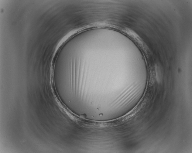 X0000086081286200704091251