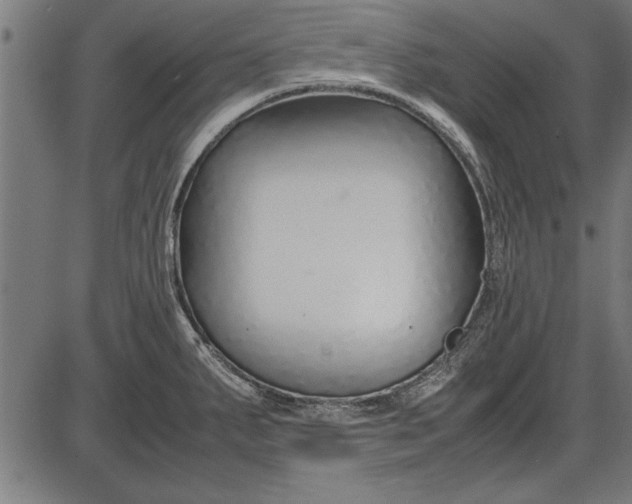 X0000086081287200704091251