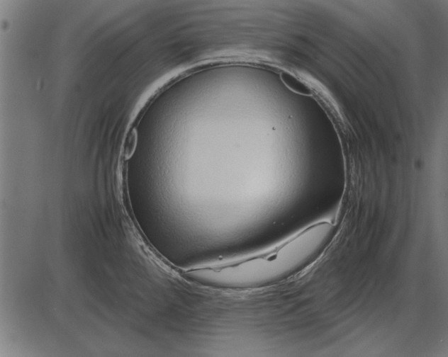 X0000086081288200704091251