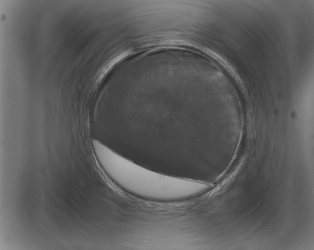 X0000086081289200704091251