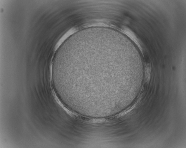 X0000086081290200704091251