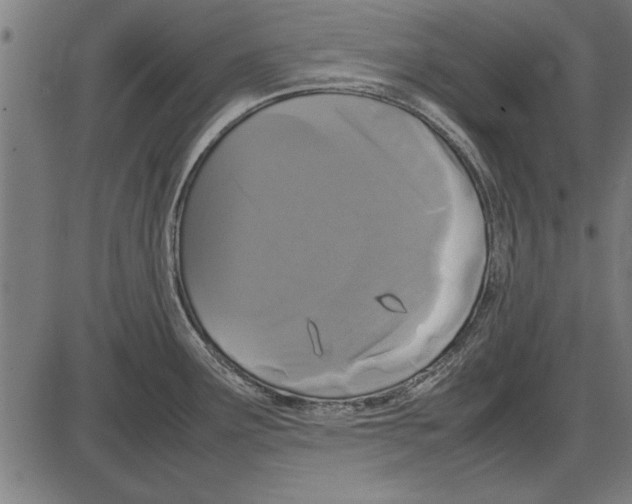 X0000086081291200704091251