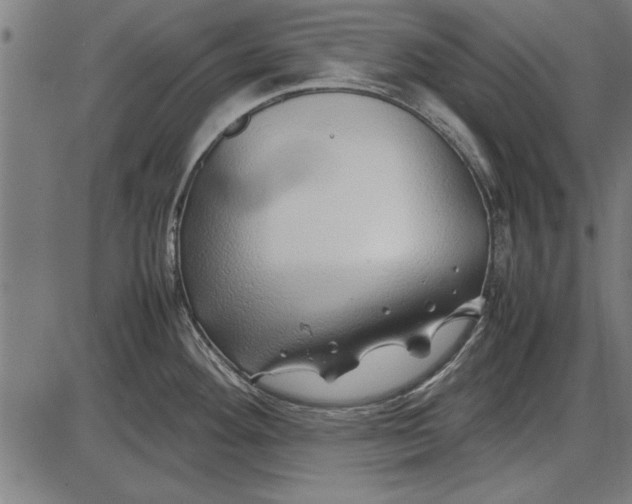 X0000086081292200704091251